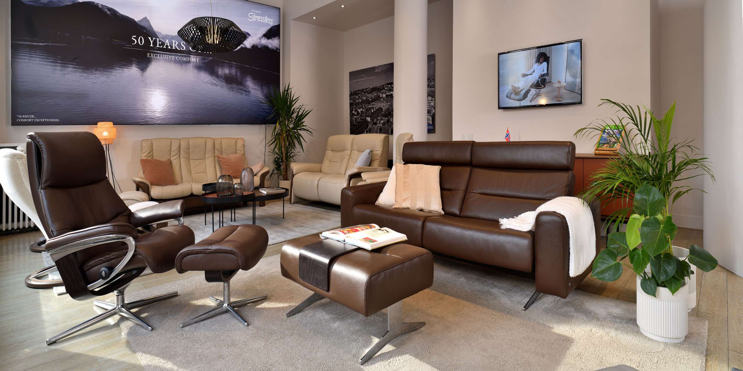 D97_0137_©_Studio_Erick_Saillet